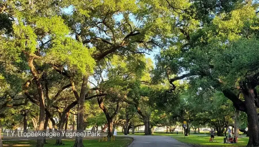 T.Y. (Topeekeegee Yugnee) Park