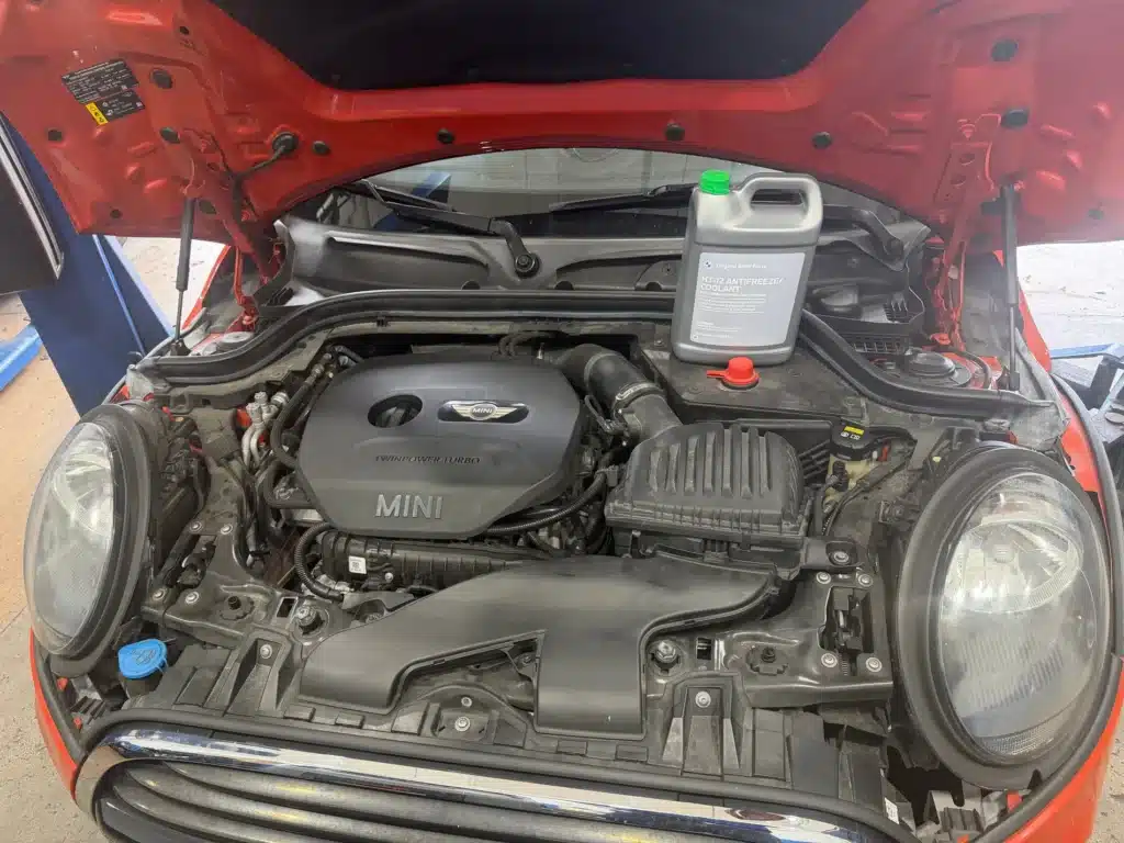 Professional Mini Cooper Repair in Hollywood, FL